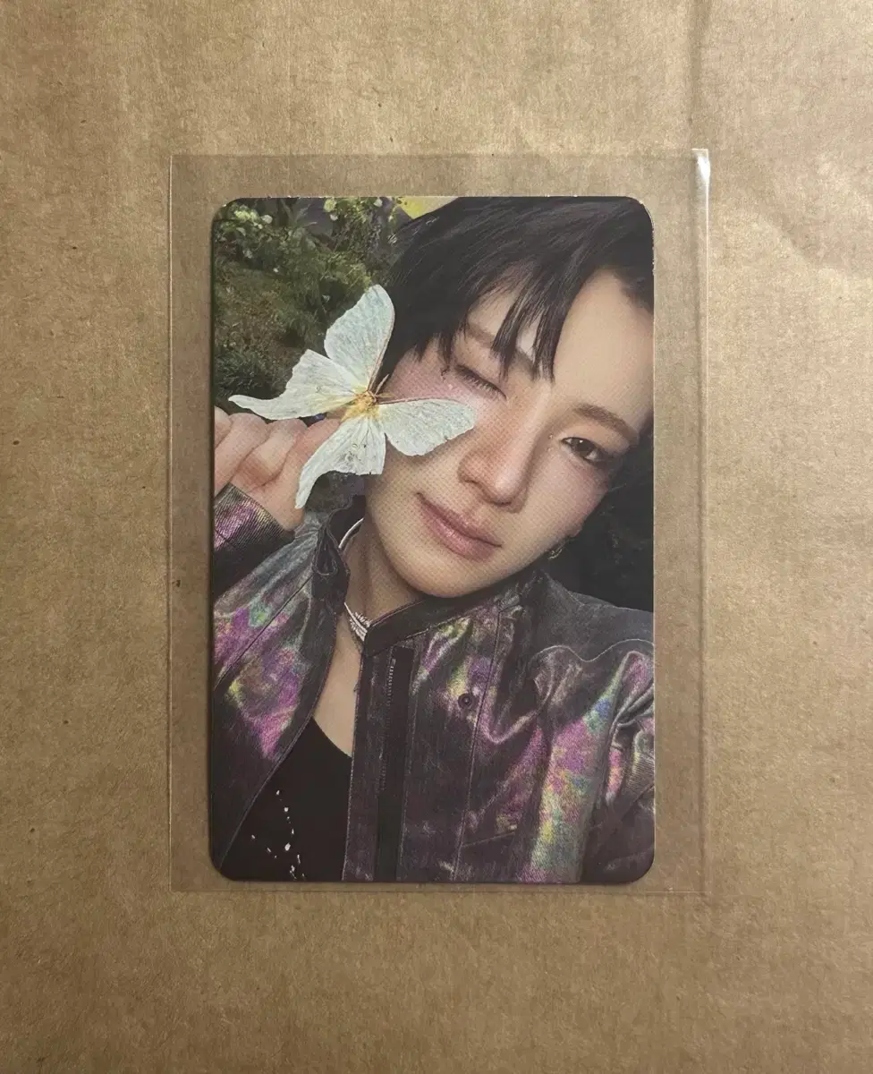 &team Back to the Light lower version yuma wts