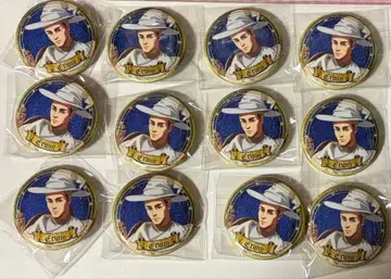 진격의 거인 엘빈 캔뱃지 12개 라메키라 캔뱃지 미개봉 새상품