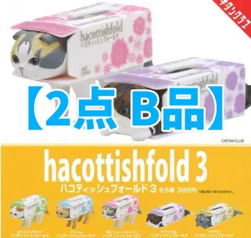 [2점B품] 총5종 하코티슈 폴드31