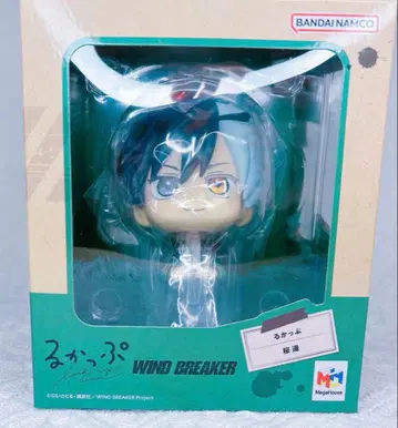 사쿠라 하루카 룩업