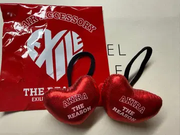 EXILE THE REASON 머리끈(AKIRA)