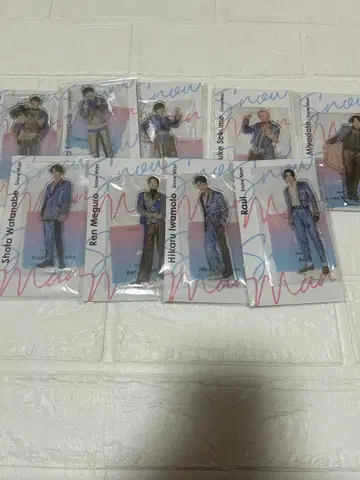 SnowMan 아크릴 스탠드 fest 세트