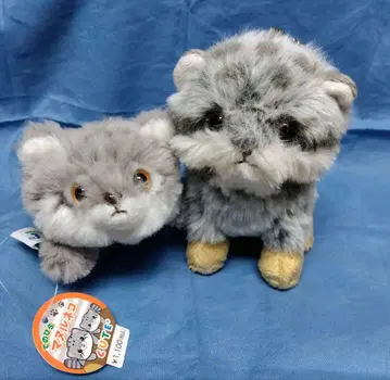 마늘 고양이 봉제 인형 키체인 2개 세트