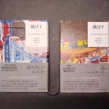 멸망시키다 (상 하) 미셸 우엘베크 2권 세트