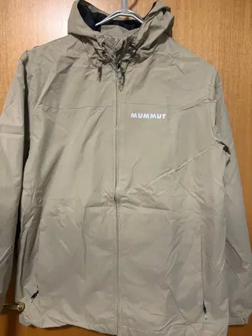 베이지 마운틴 후드티