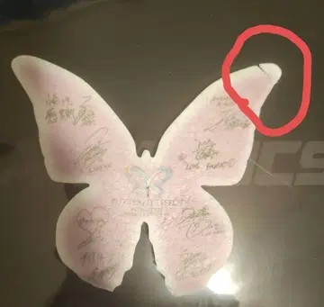 FANTASTICS 낙하물