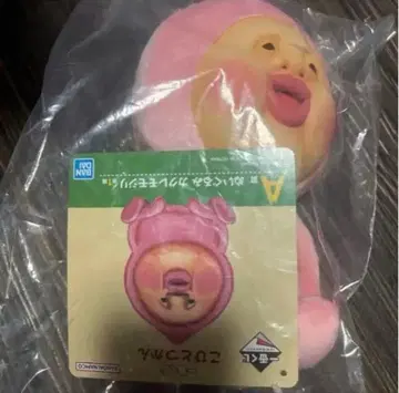 제일복권 코비토즈칸 A상 카쿠레모모지리