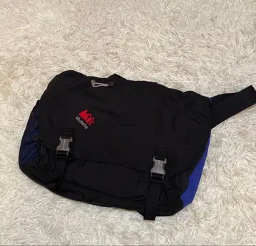 새상품 데드스탁 REI 아르이아이 메신저 백