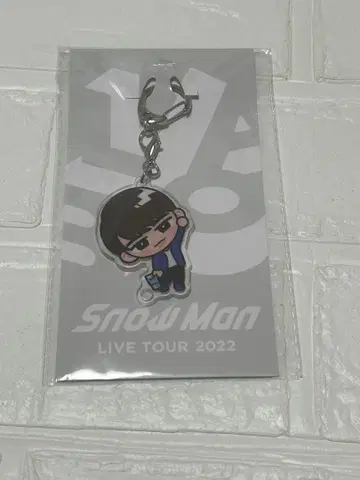 SnowMan 와타나베 쇼타 스노치루 키링