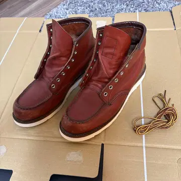 redwing 아이리쉬 세터