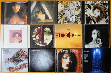Kate Bush CD 모음 (일본 초회반 포함)