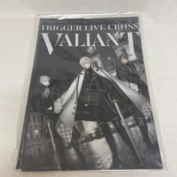 [미개봉] 아이들리시 세븐 TRIGGER VALIANT 팜플렛