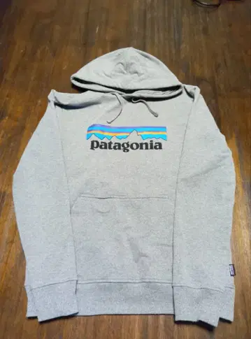 파타고니아 후드티