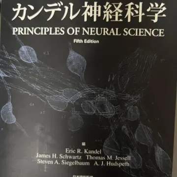 칸델 신경과학