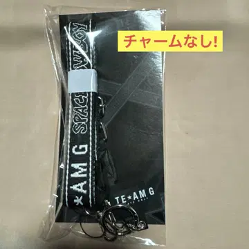 이와타 타카노리 숄더 스트랩 참 없음