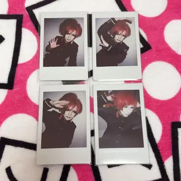 R 지정 개선 폭도 Z 당일 폴라로이드 세트