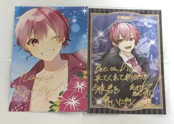 이레이스 나이코 입장 혜택