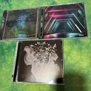 부엉이/Luv PARADE/나방과 나비