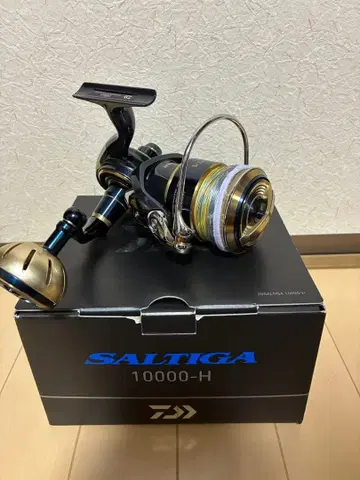 다이와 20 솔티가 10000H