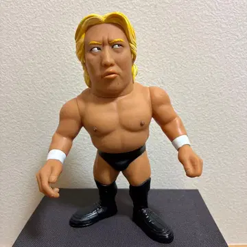 타카야마 요시히로 프로레슬링 피규어