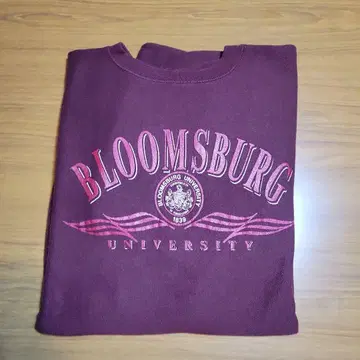 90S USA Champion Reverse Weave XL