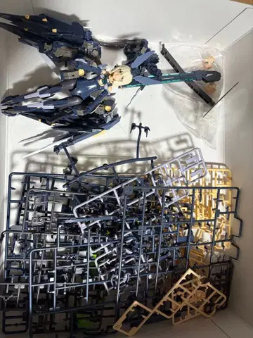 프레임 암즈 걸 스티렛 젤피컬