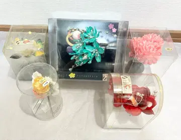 머리 장식 5점 SET