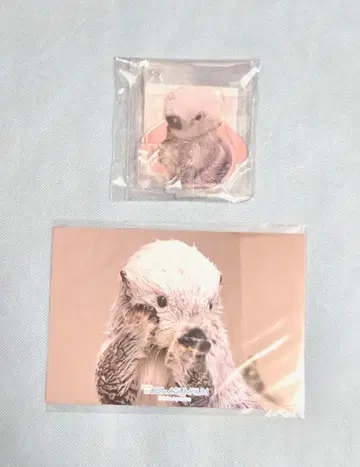 랏코의 메이짱 복권 리턴즈! 펜 스탠드&브로마이드