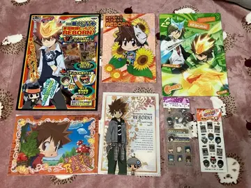 가정교사 히트맨 REBORN! 사와다 츠나요시, 로쿠도 무쿠로 외