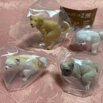 펀바리~누 2 골든 리트리버 퍼그 치와와 비숑 프리제 4개