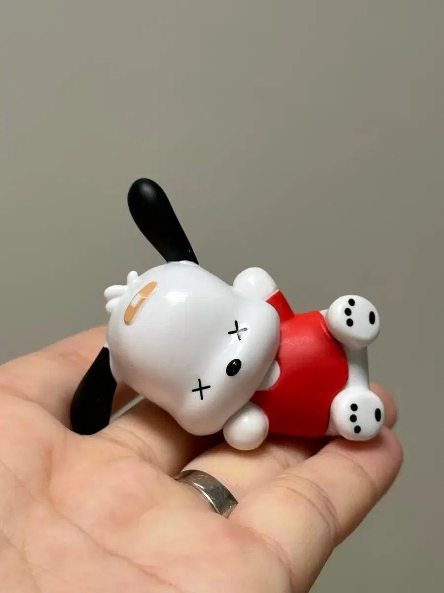Sanrio Pochacco Kwadang Gacha