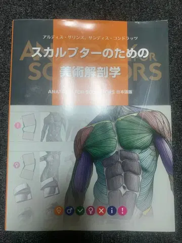 스컬프터를 위한 미술 해부학