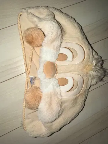 칩 앤 데일 디즈니 팬캡