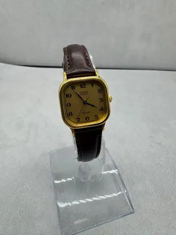 CITIZEN 아날로그 손목시계 골드/브라운