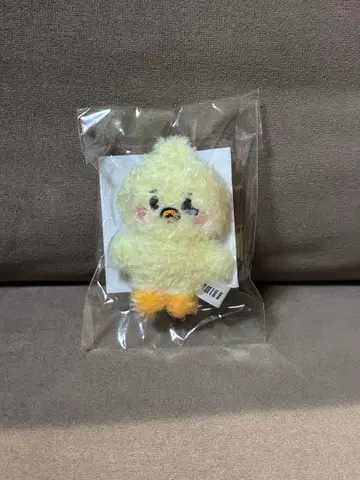 NMIXX 베이 우루 nswer vacation BAE