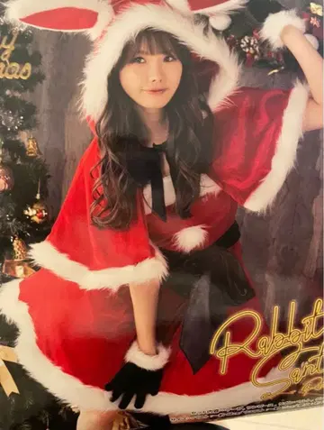 산타 코스 토끼 산타 레드 토끼 귀 산타