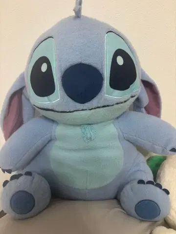 스티치 봉제 인형 본체