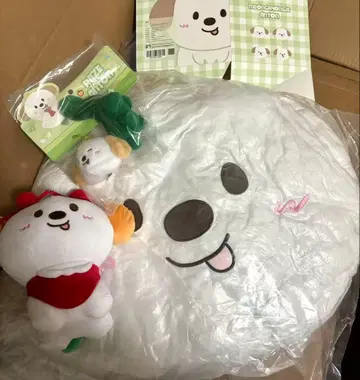 RIIZE 앤톤 ANTON 중국 한정판