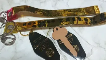 호시노 겐 은테 키링 묶음 판매