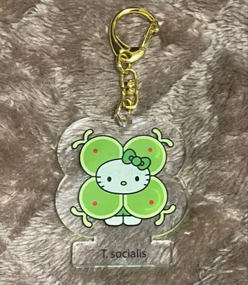 오사카 간사이 만박 일본관 모 키티 키링