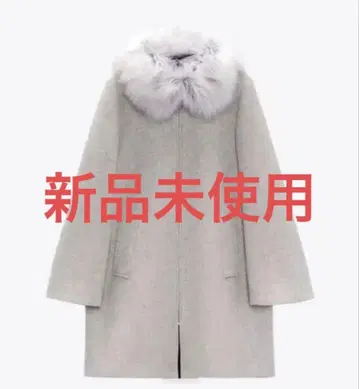 리젝시 다리치 스나이델 무루아 리엔다 다즐린 릴리 브라운