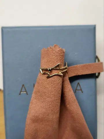 AURA 링 상어 XS 약 13호