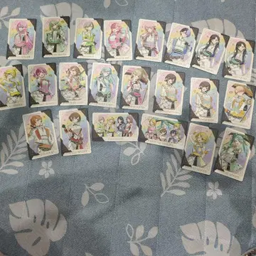 프로세카 감사제 카드 22장