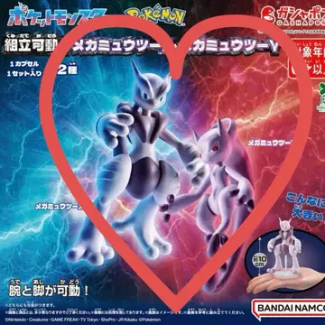 포켓몬 메가뮤우투 X & Y 세트