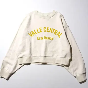 새상품급 저널 스탠다드 리룸 아치 로고 풀오버 와이드 맨투맨