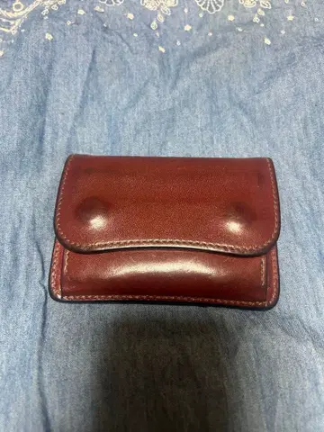 WILDSWANS 텅 버건디 새들 풀업