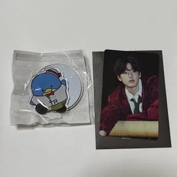 TREASURE 준규 세트