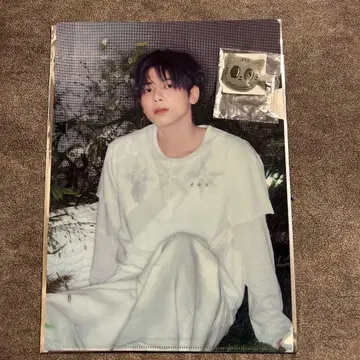 TXT cafe 태현 클리어 파일 다고냥 헤어 클립 세트