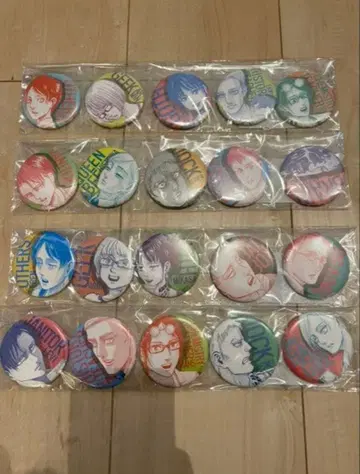 진격의 거인 온라인 전시회 스쿨 카스트 캔 배지 컴플리트 세트