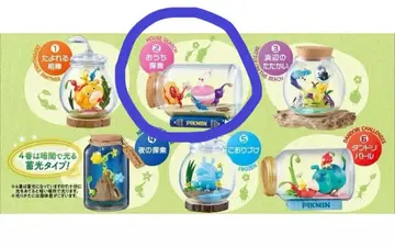 피크민 테라리움 컬렉션 2 집 탐색